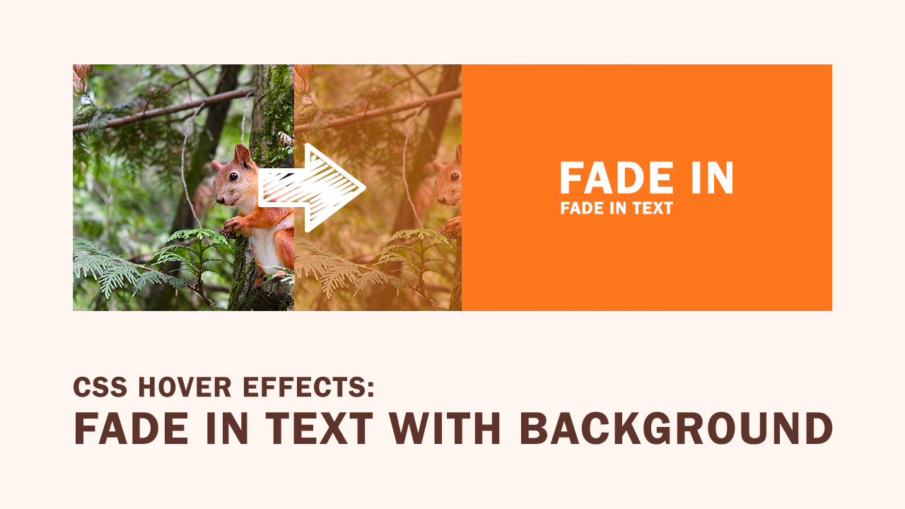 CSS Hover Effects | Fade in Text with Background - 22bulbjungle CSS Hover Effects | Fade in Text with Background - 22bulbjungle