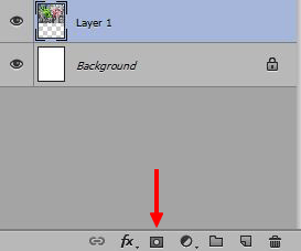 Layer Mask Icon