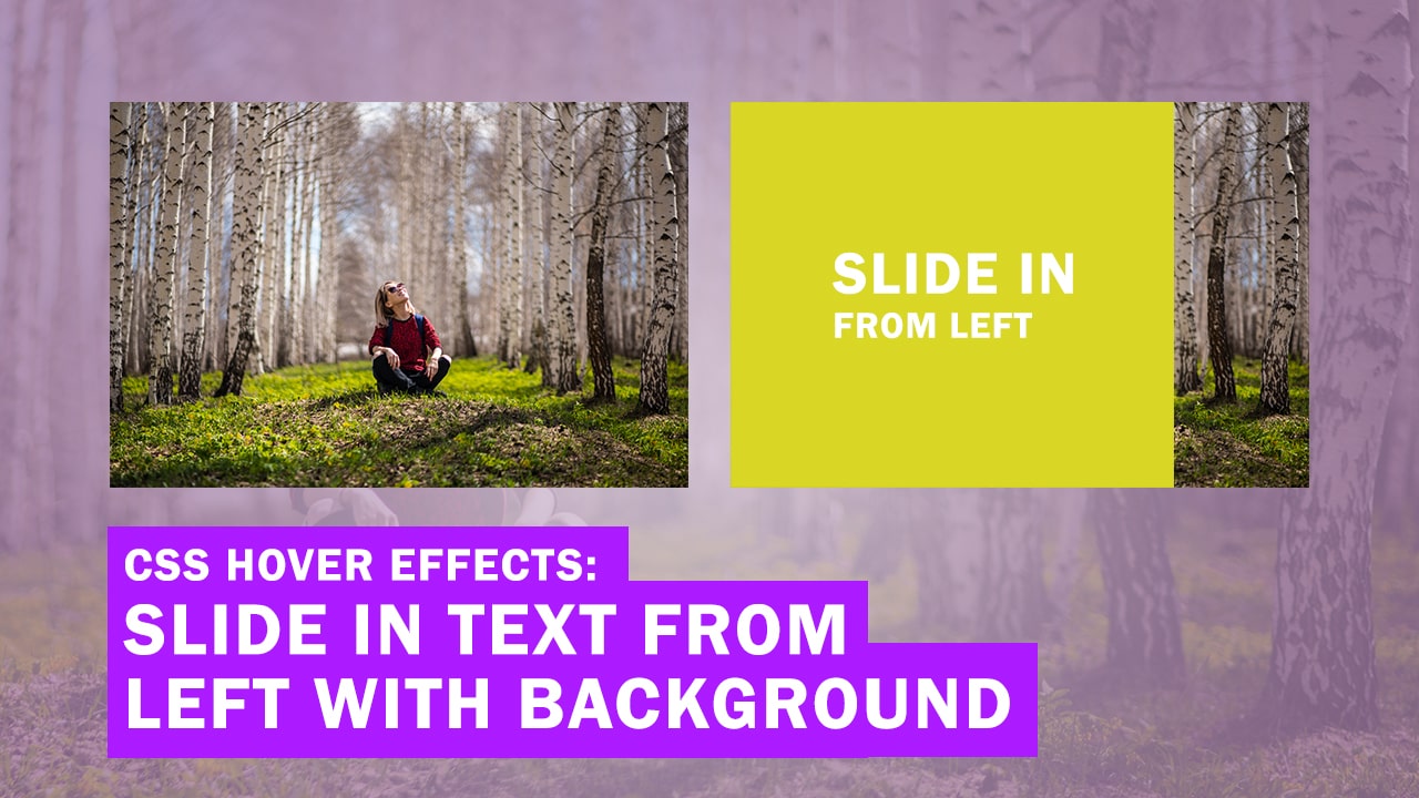 CSS Image Hover Effects: Slide in Text from the Left